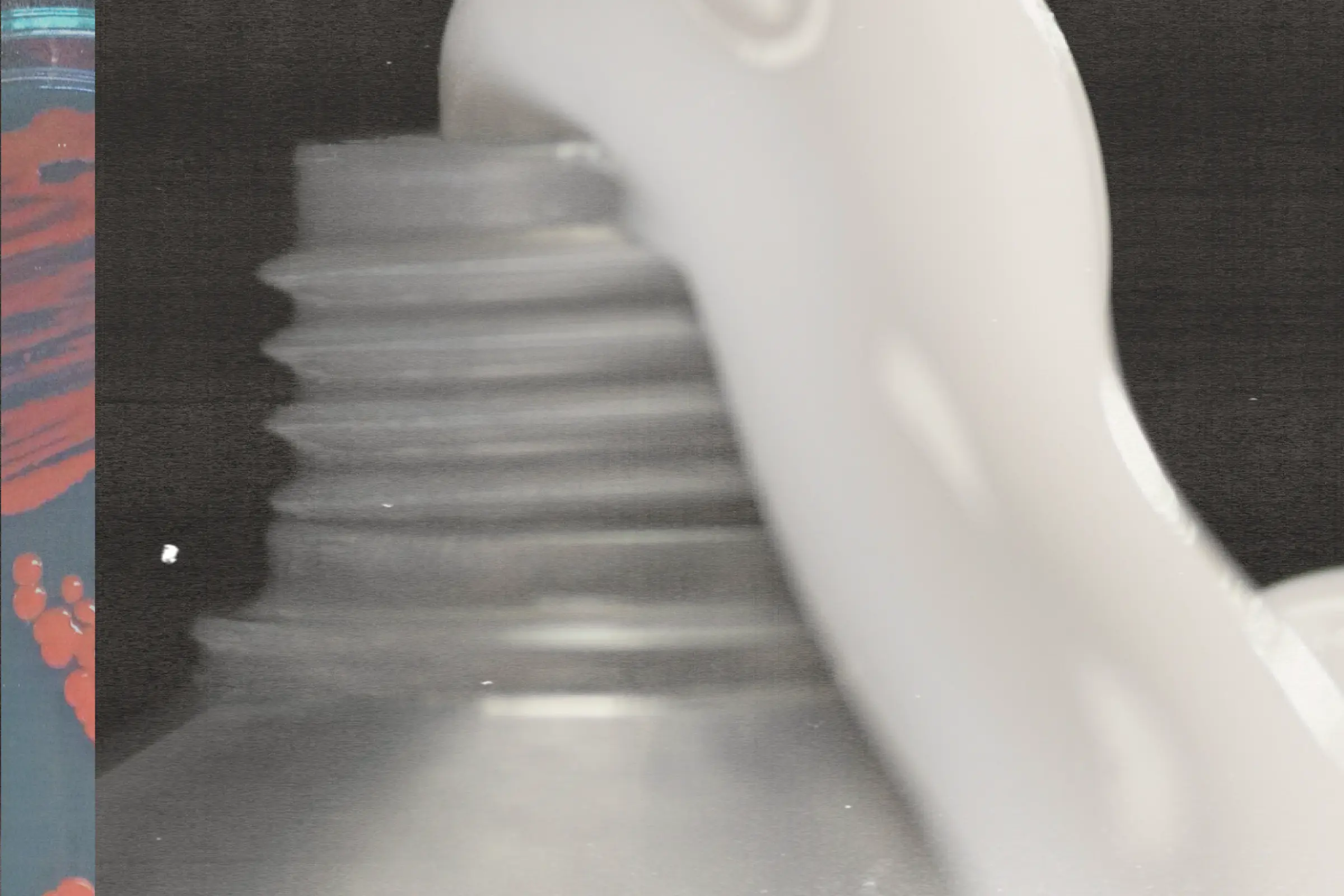 Мүмкіндігі шектеулі адамдарға арналған жыныстық позициялар